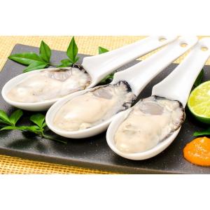 お中元 生牡蠣 1kg 生食用カキ 冷凍時1k...の詳細画像3