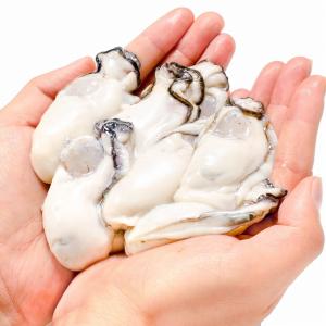 お中元 生牡蠣 1kg 生食用カキ 冷凍時1k...の詳細画像5