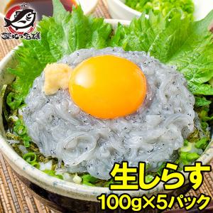 生しらす 生シラス(500g 100g×5パック 8〜10人前)｜tsukiji-ousama