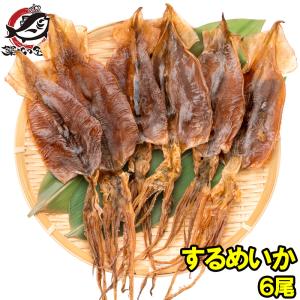ポイント消化 送料無料 国産 無添加 真いかするめ 5枚入り メール便