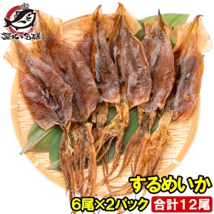 するめいか スルメイカ 8枚入り×2パック 北海道産 無塩