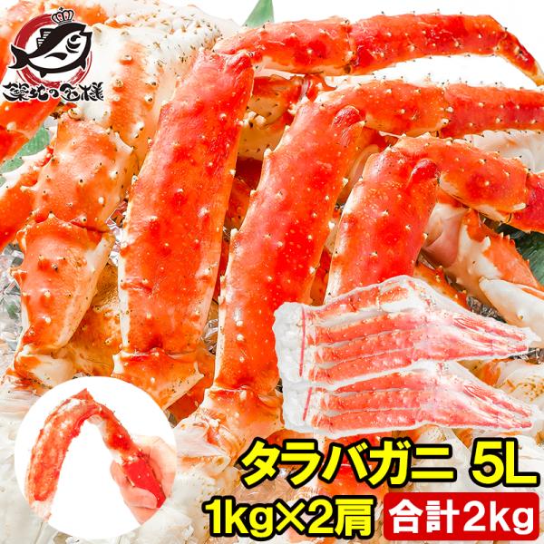 タラバガニ たらばがに 特大 極太 5L 1kg ×2肩 セット 合計 2kg 前後 足 脚 肩 セ...
