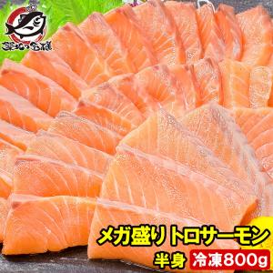 (サーモン 鮭 サケ) サーモン 刺身用 メガ盛り トロサーモン