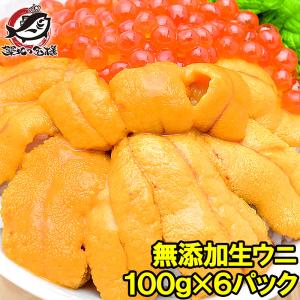 生ウニ 生うに 冷凍 無添加 天然 600g 100g×6パック(ウニ