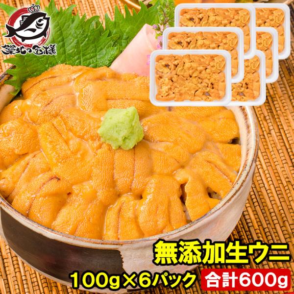 生ウニ 生うに 冷凍 無添加 天然 600g 100g×6パック ウニ うに 雲丹