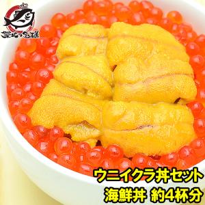 築地市場のウニイクラ丼セット（4杯分・無添加生ウニ200g＆いくら醤油漬け200g）海鮮丼で約4杯分 単品おせち 海鮮おせち 単品おせち 海鮮おせち｜tsukiji-ousama