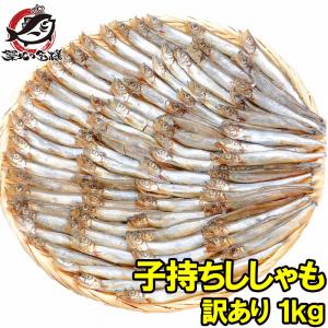 訳ありししゃも 1kg 業務用 子持ちシシャモ ししゃも カペリン 樺太ししゃも