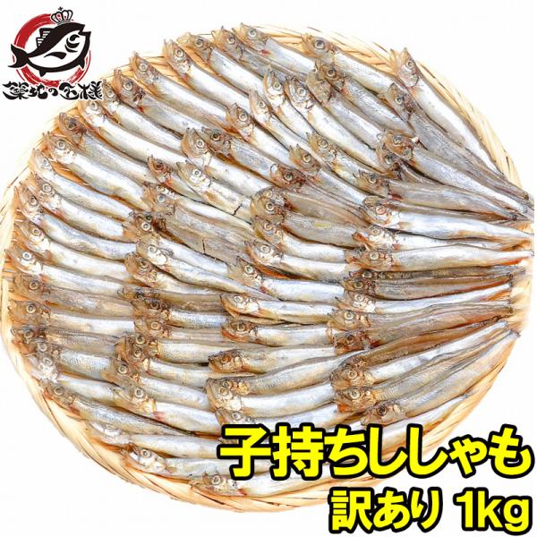 お中元 訳ありししゃも 1kg 業務用 子持ちシシャモ ししゃも カペリン 樺太ししゃも