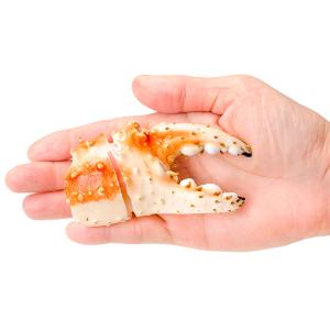 お中元 訳あり タラバガニ爪 たらばがに爪 2...の詳細画像5