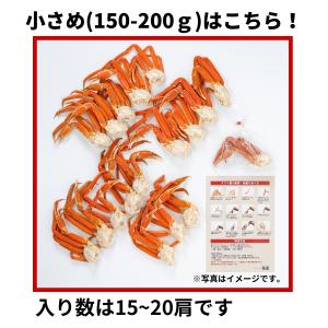 かに カニ 蟹 ずわいがに ボイル 脚 3kg...の詳細画像5