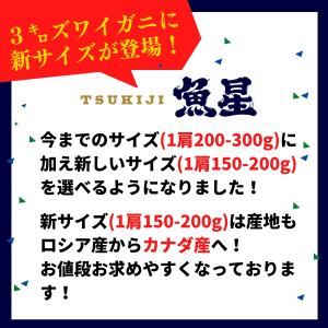 かに カニ 蟹 ずわいがに ボイル 脚 3kg...の詳細画像3