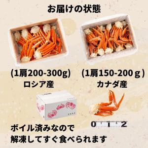 かに カニ 蟹 ずわいがに ボイル 脚 3kg...の詳細画像4