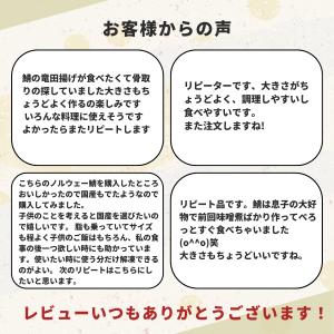 無添加 天然 国産 鯖 無塩 30g×20切 ...の詳細画像3