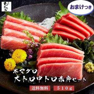 母の日 父の日 ギフト プレゼント 刺身 本マグロ 大トロ 中トロ 赤身 510g 冷凍柵  送料無 鮮魚 寿司 築地直送 手巻き寿司 国産品 お取り寄せ