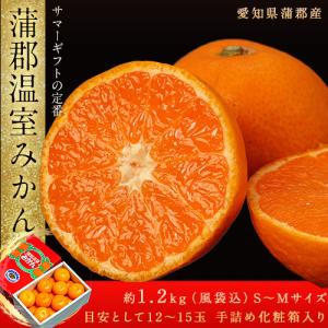 愛知県 蒲郡産 温室みかん 赤秀品 12〜15玉 （S〜Mサイズ）