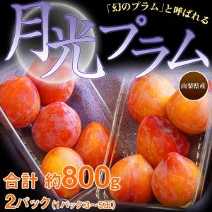 月光プラム 山梨県産 2パック（1パックあたり3〜5玉入）