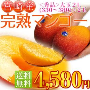 《送料無料》宮崎産　完熟マンゴー　秀品　大玉　２Ｌ　2玉　（330〜380ｇ） 同梱不可