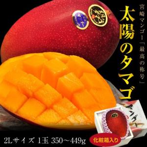 宮崎産　完熟マンゴー「太陽のタマゴ」2L（350〜449g）1玉　化粧箱入り frt ○｜tsukijiichiba