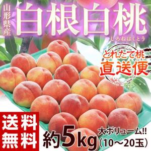 『白根白桃』 山形県産 計約5kg（10〜20玉）産地箱 ご家庭用多少の訳あり ※常温 送料無料｜tsukijiichiba