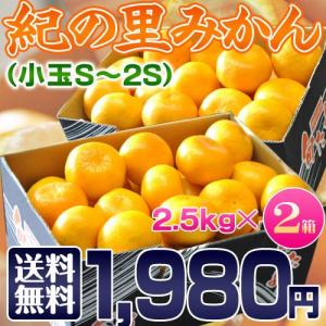 和歌山県産　「紀の里みかん」　S〜SSサイズ　合計約5キロ （約2.5キロ×2箱）　送料無料｜tsukijiichiba