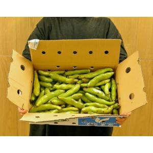 そらまめ 千葉・茨城県産他 Ｍ〜Lサイズ 約4kg（2〜3粒）産地箱入り