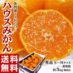 せとか 長崎県産柑橘 S〜M 約2.5kg×2箱 多少のスレ傷あり 産地箱 ※常温