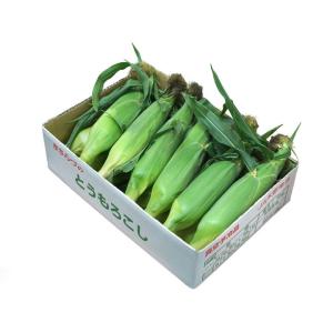 『とうもろこし』 千葉・山梨県産他 約4.5kg 風袋込み L（本数15本前後） ※冷蔵 送料無料