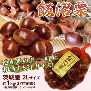 栗 くり クリ 茨城県産 飯沼栗 2Lサイズ 約1kg (目安 27粒前後)