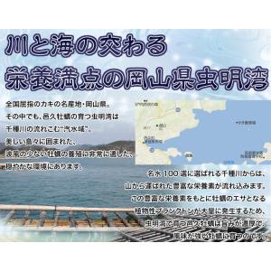 岡山県産 『邑久の牡蠣』 特大3Lサイズ 約1...の詳細画像5