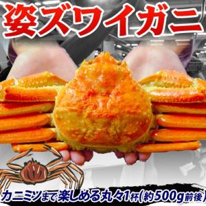 超破格の大サービス！ズワイガニ姿 　 約500g　送料無料・冷凍　ロシア産　3杯購入なら1杯サービスで4杯でお届け　sea