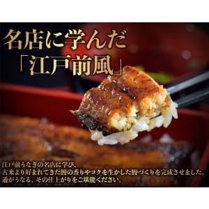 『本格炭火焼うなぎ蒲焼 山田の粋』鹿児島県産鰻...の詳細画像1