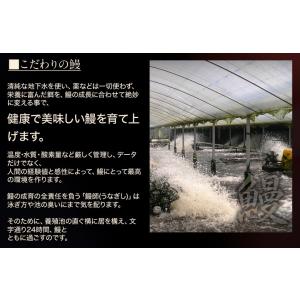 『本格炭火焼うなぎ蒲焼 山田の粋』鹿児島県産鰻...の詳細画像2
