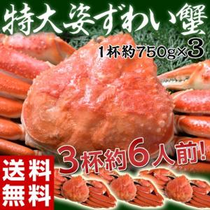 ≪送料無料≫数量限定！超お得な3尾セット！カナダ産　特大姿ずわいかに　約750g×3尾　sea　☆