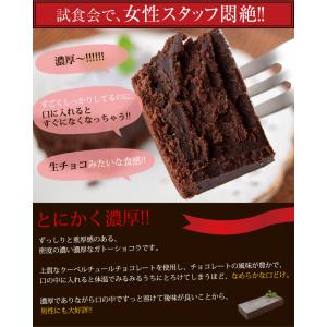 濃厚 ガトーショコラ 1本 (270g) クー...の詳細画像2