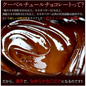 濃厚 ガトーショコラ 1本 (270g) クー...の詳細画像3