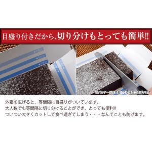 濃厚 ガトーショコラ 1本 (270g) クー...の詳細画像5