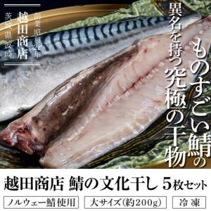 ものすごいサバ さば「越田商店　鯖の文化干し（ノルウェー鯖使用）」大サイズ（約200g）5枚セット　※冷凍｜tsukijiichiba