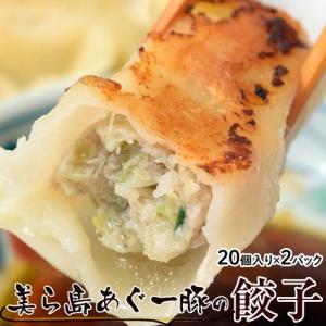 餃子 ぎょうざ 美ら島あぐー豚100％使用 あぐー豚の餃子　20個入り（480g） 贈り物 おつまみ お弁当 おかず 冷凍食品 冷凍同梱可能｜tsukijiichiba