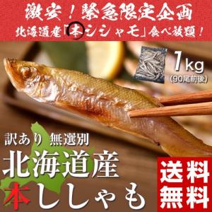 訳あり 無選別 北海道産 本ししゃも 1キロ(90尾前後) 冷凍 送料無料｜tsukijiichiba