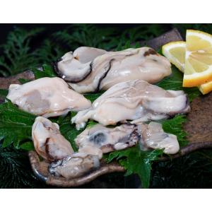 加熱調理用『サイズ不揃い剥き牡蠣』広島県産 NET850g