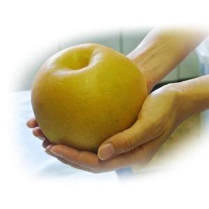 『にっこり梨』 栃木県産 風袋込 約5kg（5〜8玉） 秀〜優品 ※常温 送料無料