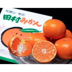 畑さんの ちいさな田村みかん 和歌山県有田産　約5kg（2S-3S混合）手詰め　産地箱入り　※常温　送料無料