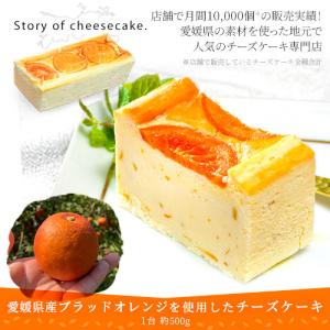 Story of cheesecake.『愛媛県産ブラッドオレンジのチーズケーキ』