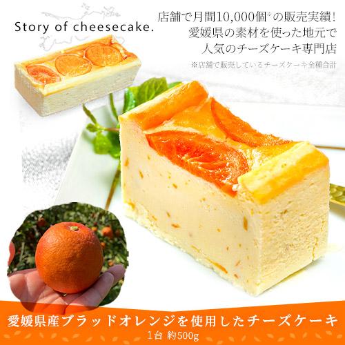 Story of cheesecake.『愛媛県産ブラッドオレンジのチーズケーキ』 1台 ※冷凍 送...