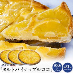 フランス産『タルト パイナップル ココ』 3台（1台 950g 約 27cm (10ピース)） ※冷凍 送料無料｜tsukijiichiba