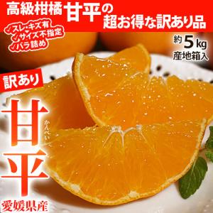 ご自宅用 バラ詰め 甘平 （かんぺい）愛媛県産 M〜5L 約5kg 産地箱 ※常温 送料無料