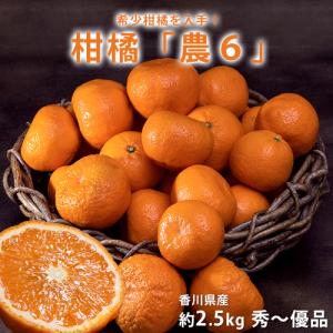 農6 (のうろく)  香川県産  約2.5kg 秀〜優品　大〜小サイズ ※常温 送料無料　機能性　柑橘　みかん｜tsukijiichiba