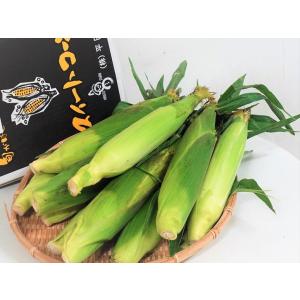 プレミアム味来 北海道産 平田農場のとうもろこし...の商品画像