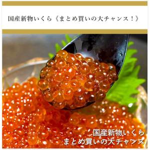 北海道産いくら醤油漬　250g（2023年新物）※冷凍 送料無料｜tsukijiichiba