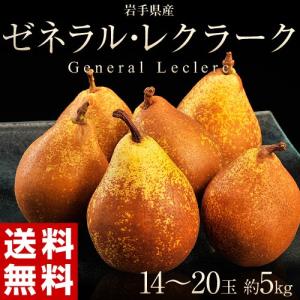 梨 洋なし 洋ナシ 西洋梨 岩手産 ゼネラルレクラーク 14〜20玉 約5キロ 送料無料｜tsukijiichiba